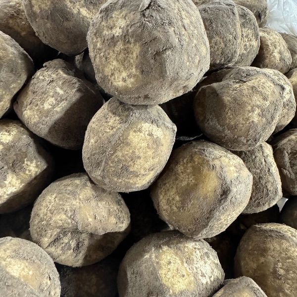 贵州特产 遵义凤冈农家纯手工自制灰豆腐果 草木灰豆腐500g约20个