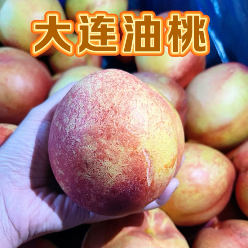 正宗大连油桃黄心红皮麻脸油桃离核酸甜口味大果当季新鲜水果整箱