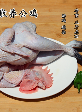 现杀青脚鸡整只青脚鸡