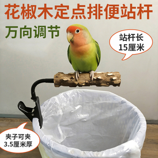 鹦鹉花椒木站杆站架磨爪垃圾桶定点排便拉屎玄凤虎皮牡丹拉粑粑