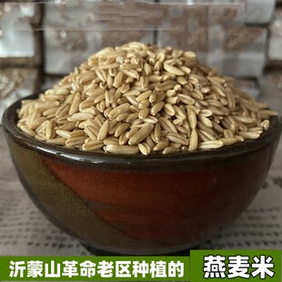 沂蒙山农家原生态燕麦米 野麦雀麦莜麦煮饭好伴侣500g 满28元包邮
