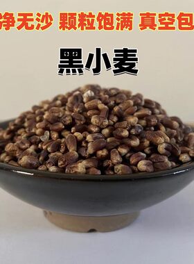 黑小麦新货可发芽煮粥