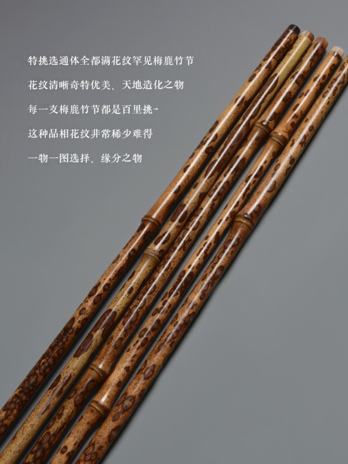 满花纹梅鹿竹教鞭戒尺 手工制镶花牛角老料竹节长鞭 文玩竹手把件