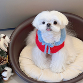 狗狗马年新年衣服比熊马尔济斯小型犬宠物春节喜庆红色连帽毛衣