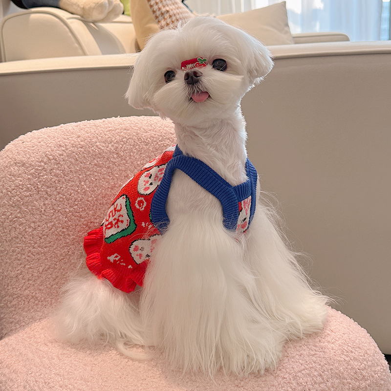 狗狗猫咪宠物新年衣服喜庆拜年服