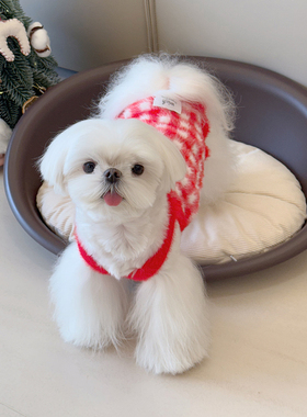宠物狗狗新年衣服比熊马尔济斯约克夏小型犬喜庆红色格子拜年服