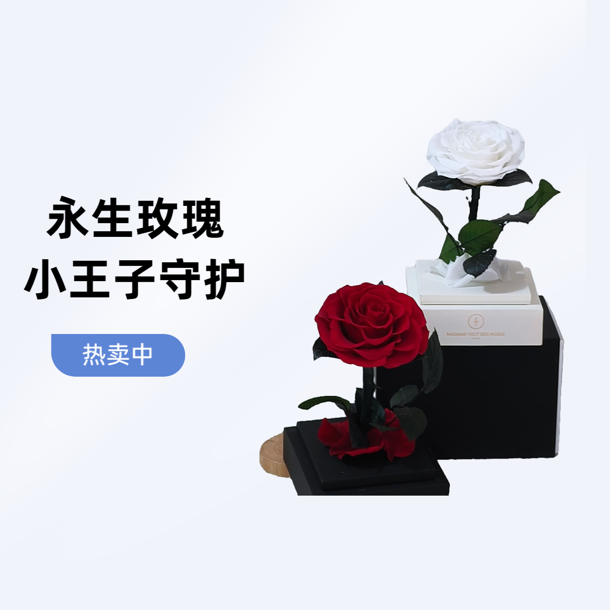 永生花小王子玻璃罩情人节