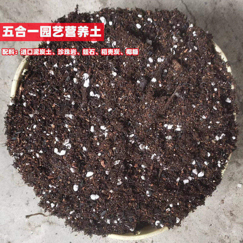 家庭阳台养花卉盆栽植物栽培介质进口泥炭土配方五合一园艺营养土