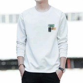 潮牌男卫衣春秋款 潮流 t恤韩版 套头圆领宽松休闲长袖 百搭运动男装