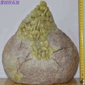 巴林石寿山蓝星原石鸡血山炮绿精品青田封门石雕摆件 蒸蒸日上