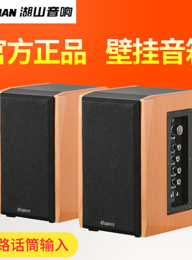 湖山V600-201i多媒体电脑音箱2.0低音炮壁挂会议教学话筒音箱