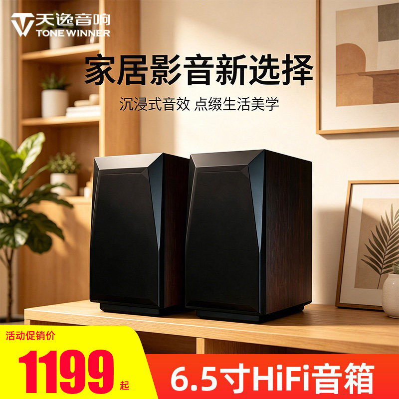 天逸无源HIFI发烧书架音箱