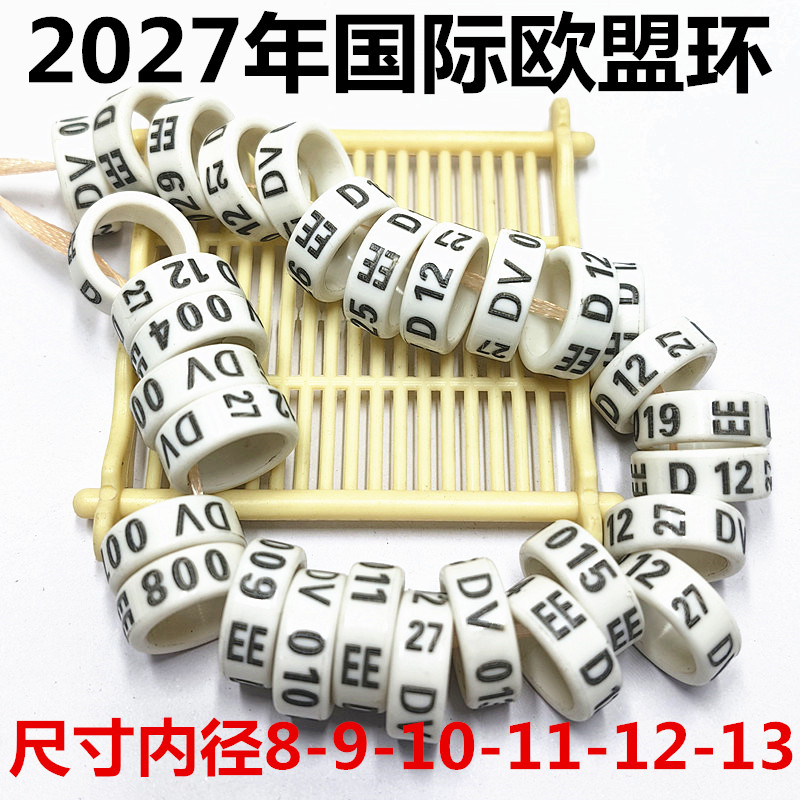 国际圆环2027元宝圆环摩登象腿