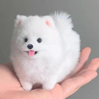 儿童生日礼物仿真博美犬毛绒玩具