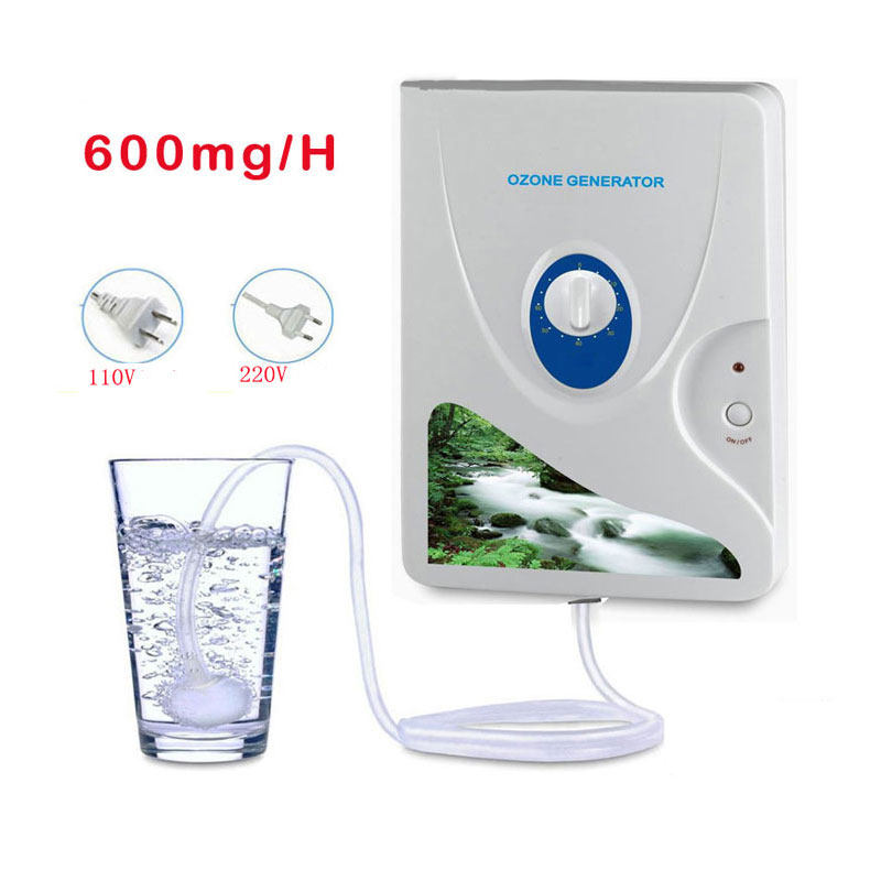 多功能活氧机臭氧空气净化器果蔬消毒降解机220v 110V 600mg/h