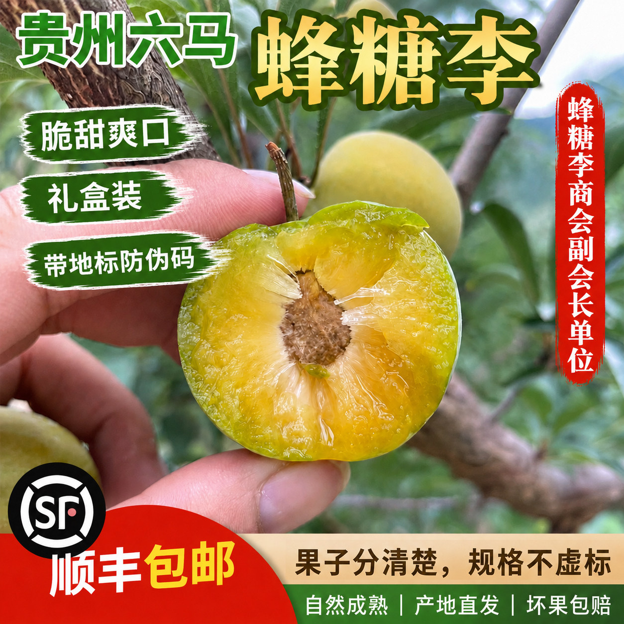 六马蜂糖李子果 新鲜甜脆水果贵州冰脆脱骨孕妇冰糖大李子5斤礼盒