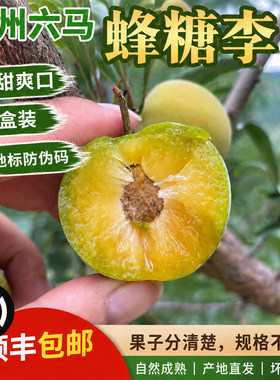 正宗六马蜂糖李新鲜发货