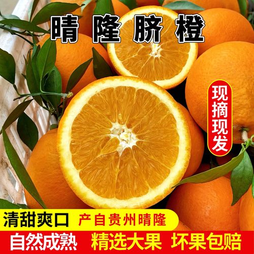 贵州晴隆鸡场脐橙10斤现摘现发