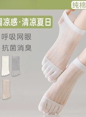 五指袜子女短袜纯棉夏季薄款抑菌防臭吸汗网眼船袜分趾袜网眼无骨
