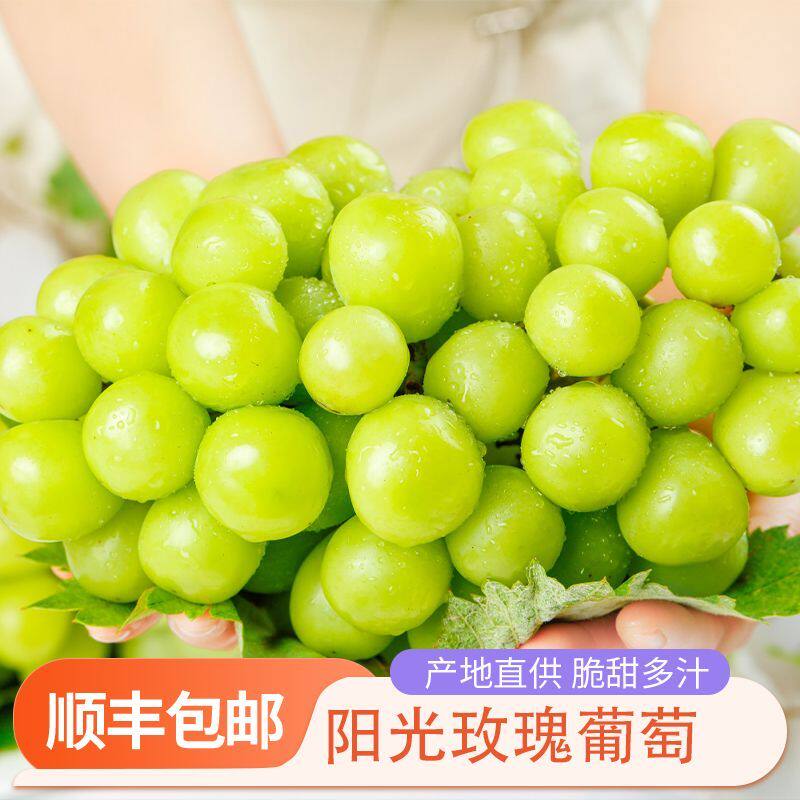 阳光玫瑰晴王葡萄鹏翔宇