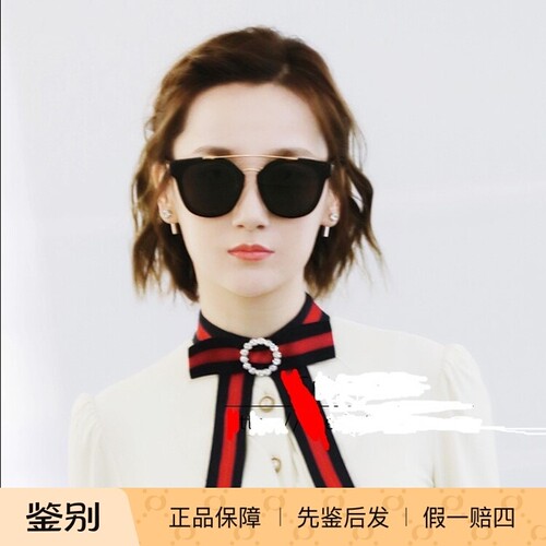 celine时尚风双梁大框太阳眼镜