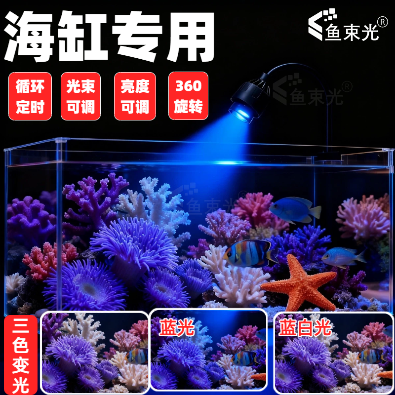 海缸灯led海水鱼缸灯水草小丑鱼珊瑚专用可调焦蓝白补光造景夹灯