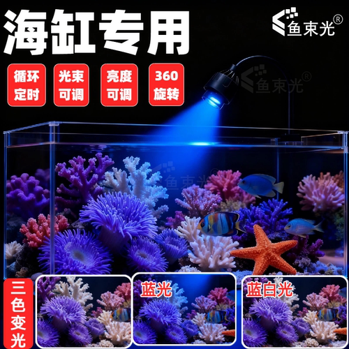 鱼束光小海缸珊瑚海葵专用灯