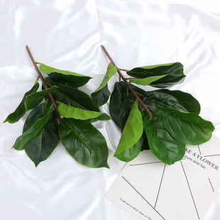 北欧仿真植物绿植盆栽盆景装 饰叶子单支假树叶桌面摆放花艺琴叶榕