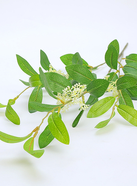 落地绿叶植物墙装饰花艺