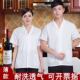 酒店工作制服男女学校幼儿园食堂人 透气冰爽厨房翻领短袖 夏季 薄款