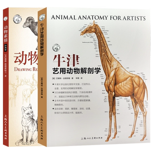 牛津艺用动物解剖学+动物素描(经典版)2册动物素描绘画技法教学 动物骨骼与肌肉运动结构 动物绘画技法解剖教程教学动物解剖工具书