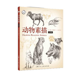 动物素描畅销版 动物素描速写手绘绘画步骤示范技法教学动物素描素材临摹 描初学基础入门怎么样画动物素描教程教材西方经典技法