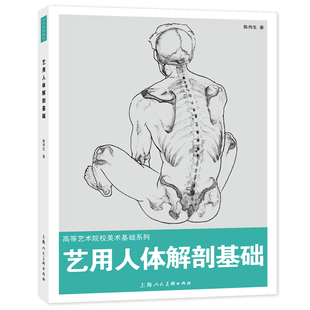 艺用人体解剖基础中央美术学院等顶级艺术院校基础课程体系解剖学基础知识 理解人体形态技法高等艺术院校美术基础系列专业教材