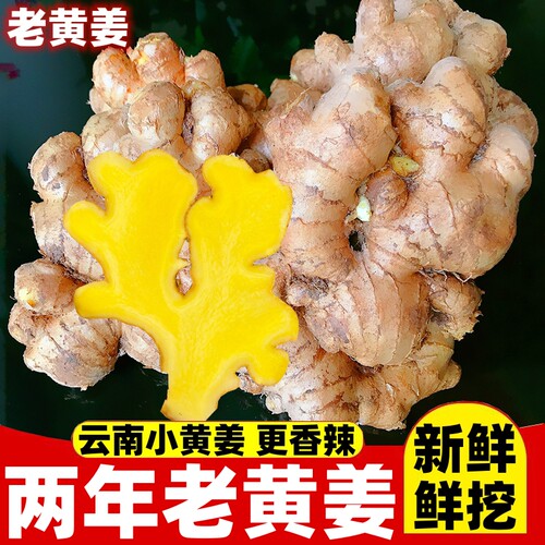 云南小黄姜生姜老姜何老农超辛辣