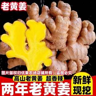 正宗云南小黄姜生姜老姜月子姜老母姜老黄姜非大黄姜新鲜蔬菜