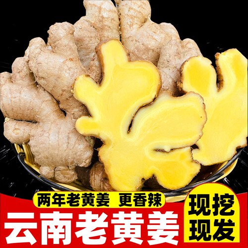 生姜批发老姜云南小黄姜月子姜老母姜老黄姜非大黄姜新鲜蔬菜