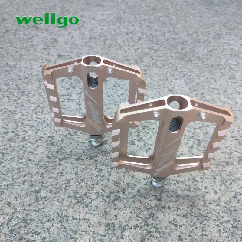 wellgo铝合金一次成型休闲脚踏