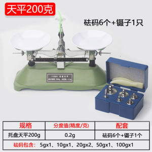 天平秤称学生家用小学生托盘天平天秤实验小型儿童简易高精度教具