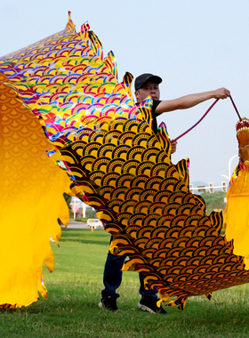 舞龙彩带健身健身龙带甩彩带舞龙甩龙带龙头彩带耍龙中老年人健身