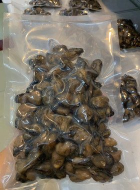 真空包装生蚝干不抽油原味蚝干煮粥辅食