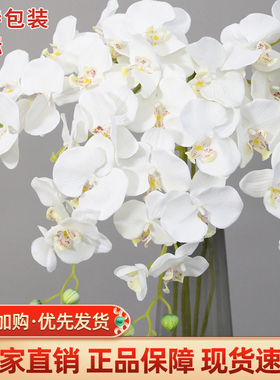 白色蝴蝶兰粉色紫色仿真花高级感假花客厅摆件婚礼布置插花绢花