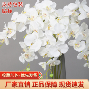 白色蝴蝶兰粉色紫色仿真花高级感假花客厅摆件婚礼布置插花绢花