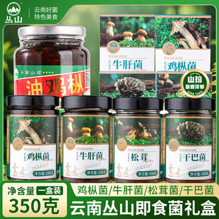丛山油鸡枞菌云南特产即食牛肝菌松茸菌油干巴菌拌饭炒饭下饭菜