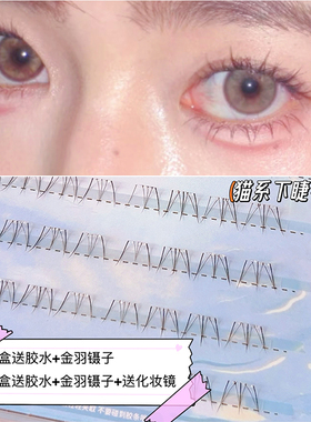 猫系大小姐下睫毛极细毛流感清透纯欲假睫毛漫画网感上镜款