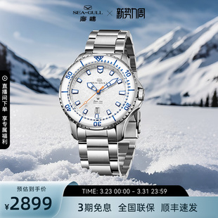 海鸥表男士 1212 手表潜水表自动机械表男表海洋系列pro冰翼雪域