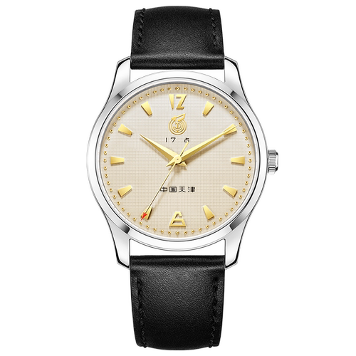 海鸥表经典复古机械表男款