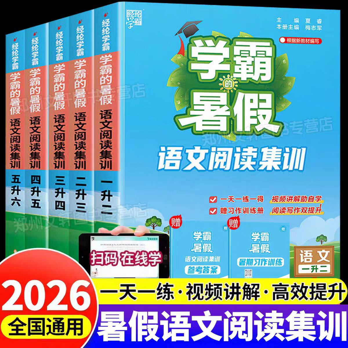 2026新 学霸的暑假语文阅读集训一升二升三升四升五升六年级人教版暑假作业阅读理解专项训练书暑假衔接教材写作技巧假期每日一练 - 实物图