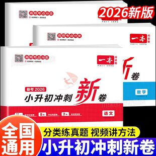 2026新 一本小升初总复习人教版冲刺新卷语文数学英语小学六年级下册升初一初中必刷题真题分类模拟测试卷考试押题历年名校卷子下