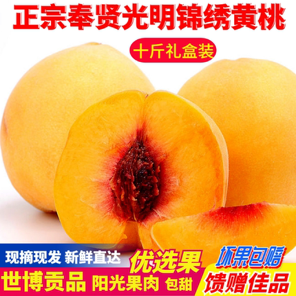 正宗上海奉贤光明锦绣黄桃新鲜当季水果精品大果现采摘10斤礼盒装