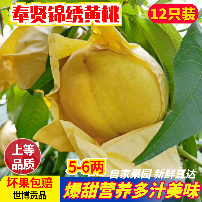 正宗上海奉贤光明锦绣黄桃6-7两 当季现摘新鲜孕妇水果12只礼盒装